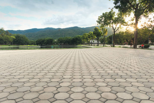 Best Professional Driveway Pavers  in Spring Lake, NJ